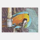 Search for macaw wrapping paper Parrots