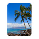 Search for pacific magnets Maui