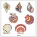 Search for vintage shell stickers Illustration