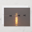 Search for mallard bird invitations Birds