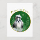Search for tzu postcards Shih