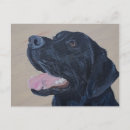 Search for black labrador retriever postcards Dogs
