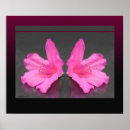 Search for mirror posters Floral
