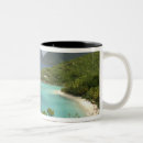 Search for virgin islands mugs Tropical