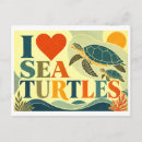 Search for turtle drawing postcards Illustration