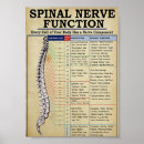 Search for spine chart posters Medical
