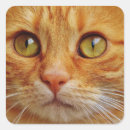 Search for square glossy stickers Yellow