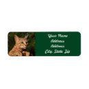 Search for domestic return address labels Cat