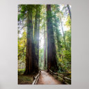 Search for tall posters California