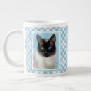Search for siamese cat mugs Kitten