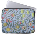Search for old laptop cases William morris