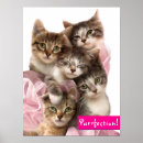 Search for cat joke posters Cute