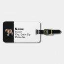 Search for brittany spaniel accessories Animal