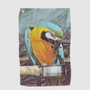 Search for macaws Pets