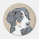 Search for berners magnets Berner sennenhund