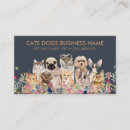 Search for cat breed Cats