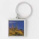 Search for cactus flower key rings Arizona