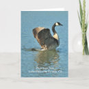 Search for riverside cards Bird