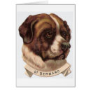 Search for saint bernard Animals
