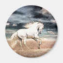 Search for galloping magnets Horse