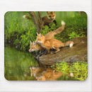 Search for wildlife mouse mats Baby