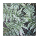 Search for fern tiles Leaves