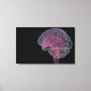Search for parts of the brain posters Internal