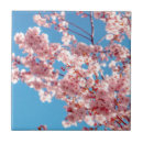 Search for japan cherry blossom tiles Tree