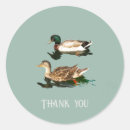 Search for mallard ducks stickers Nature