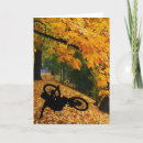 Search for bmx cards Sports