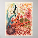 Search for coral reef art Australia
