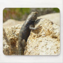 Search for backed mouse mats Wildlife