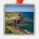 Search for scenic christmas tree decorations Outdoors