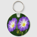 Search for glories round key rings Nature