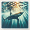 Search for sharks coasters Sea