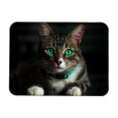 Search for white collar magnets Cute