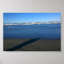 Search for seagull posters Pacific