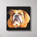 Search for funny animal canvas prints Lover