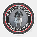 Search for pet safety stickers Dog in home