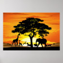 Search for wild africa posters Nature