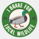 Search for protect wildlife stickers Animals