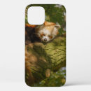 Search for red panda iphone cases Nature