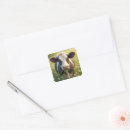 Search for pasture stickers Animal