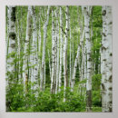 Search for nagano Photography