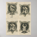 Search for midwife posters Pregnancy