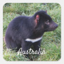 Search for tasmania stickers Tasmanian devil