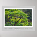 Search for henry david thoreau posters Nature