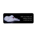 Search for reflection return address labels Water