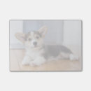 Search for pembroke corgi post it notes Dog