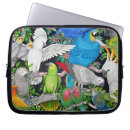 Search for pet parrot electronics Cockatoo